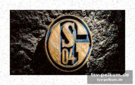 Vierter internationaler partnerverein für schalke 04