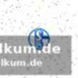 Magdeburg kämpft, bleibt aber chancenlos