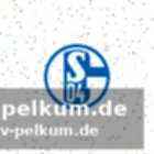 Kein neuer stürmer für schalke? die konsequenzen