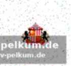 Schalkes wintertransfer-bilanz