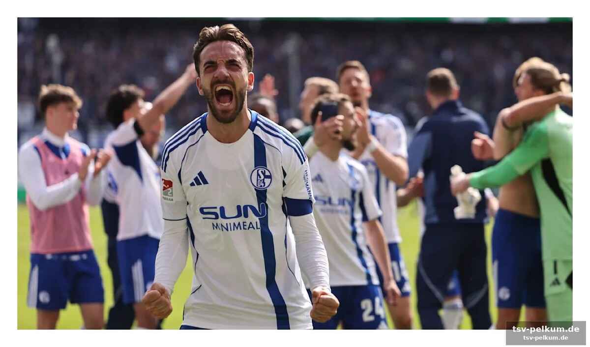 Miron muslic: der mann, der schalke wieder auf kurs brachte
