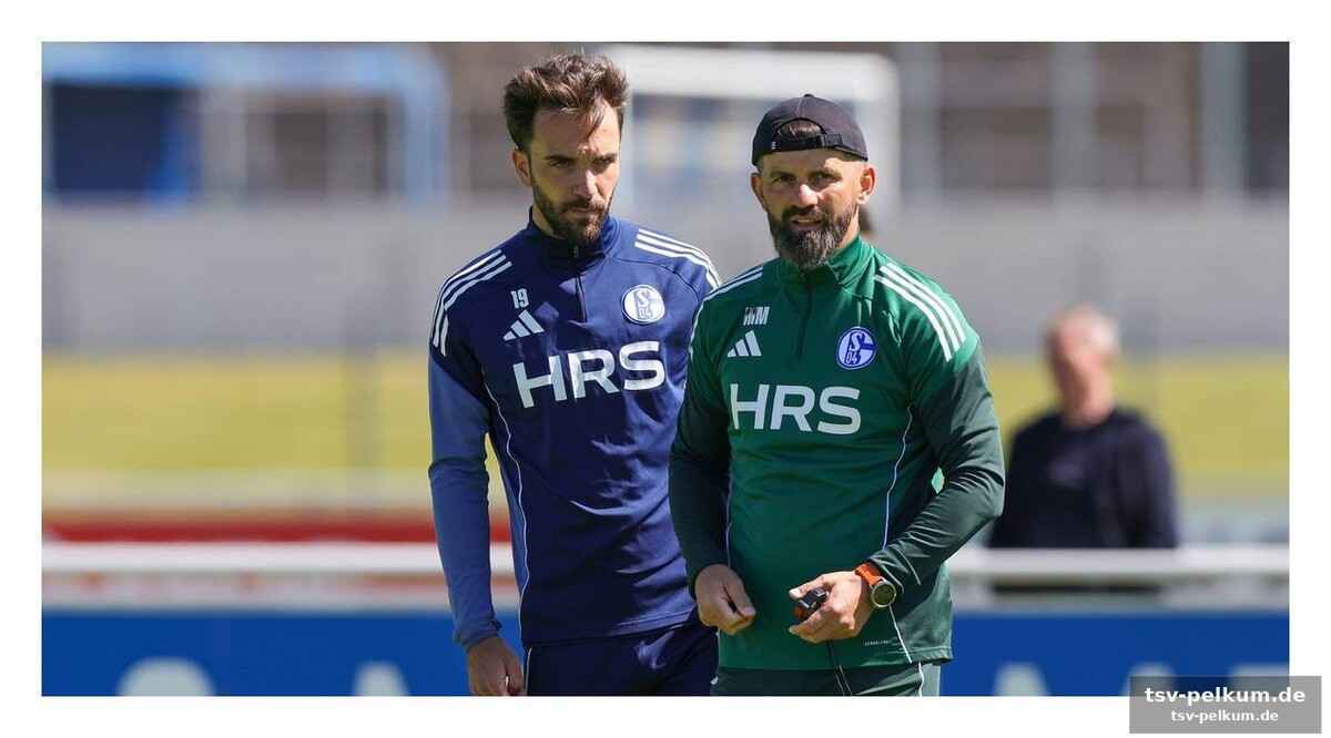 Dzeko kehrt zurück ins team