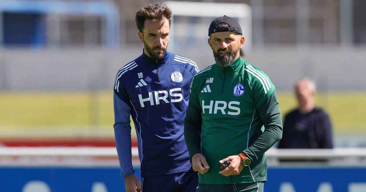 Schalke 04 vor dem aufstieg: muslic warnt vor platzstürmen!