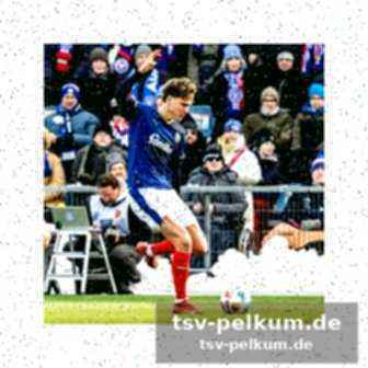 Stimmen zum spiel