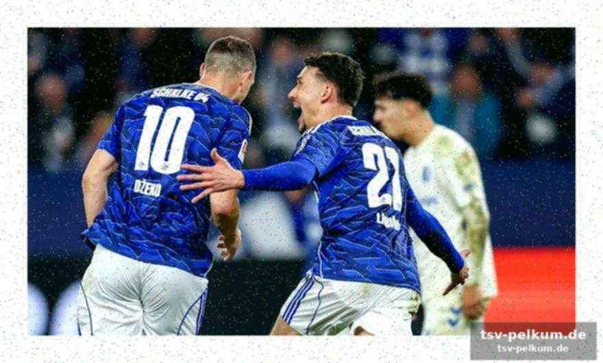 Dzeko schwärmt von schalke und den fans
