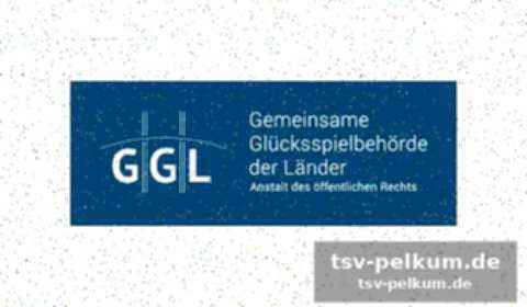 Leistungsanalyse: fc magdeburg