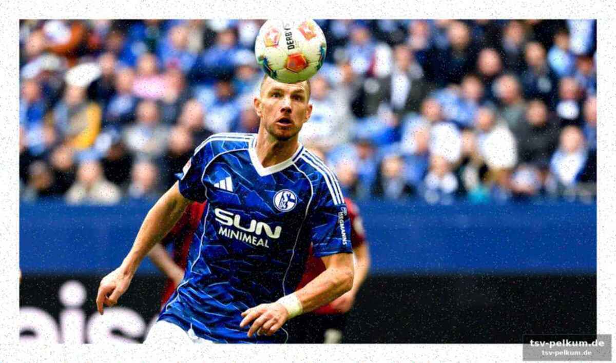 Schalke kann darmstadt-krise abfedern