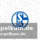 Schämen für das vereinsimage: die argumentation der unterzeichner