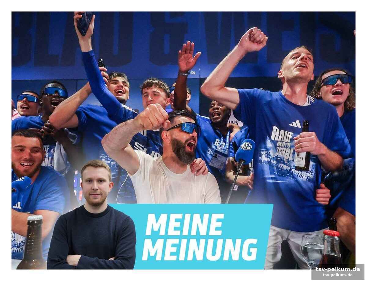 Mehr als nur fußball: schalke als spiegelbild deutscher fankultur