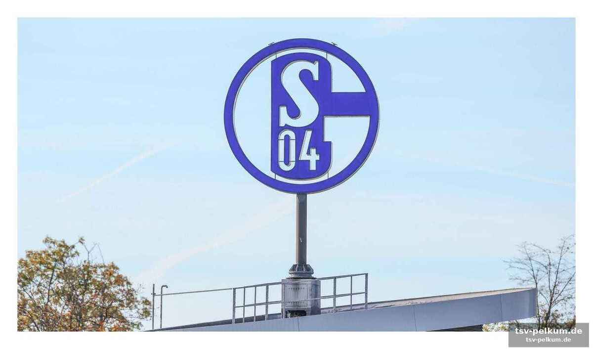 Was der deal für schalke bedeutet