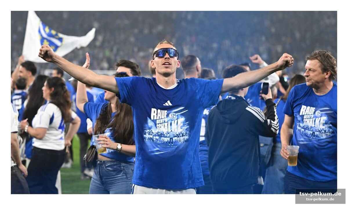 Die aufstiegsnacht: becker plant eskapaden mit dzeko