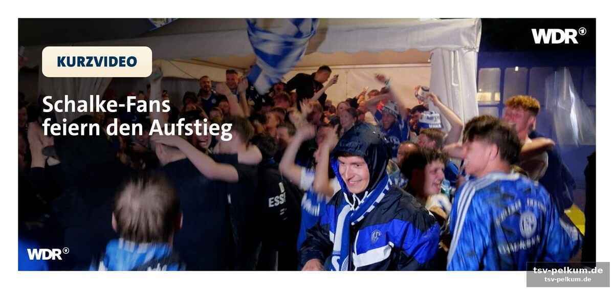 Der schrei nach mehr: eine stadt im rausch