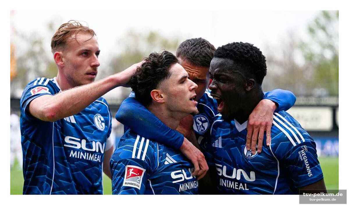 Syllas siegtreffer bringt schalke auf die siegerstraße