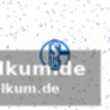 Schalkes schwächeserie hält an