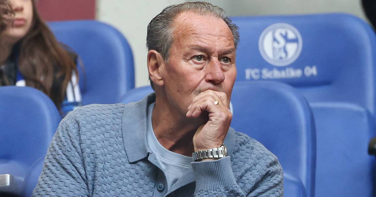Schalke-comeback: stevens warnt vor zu viel euphorie!