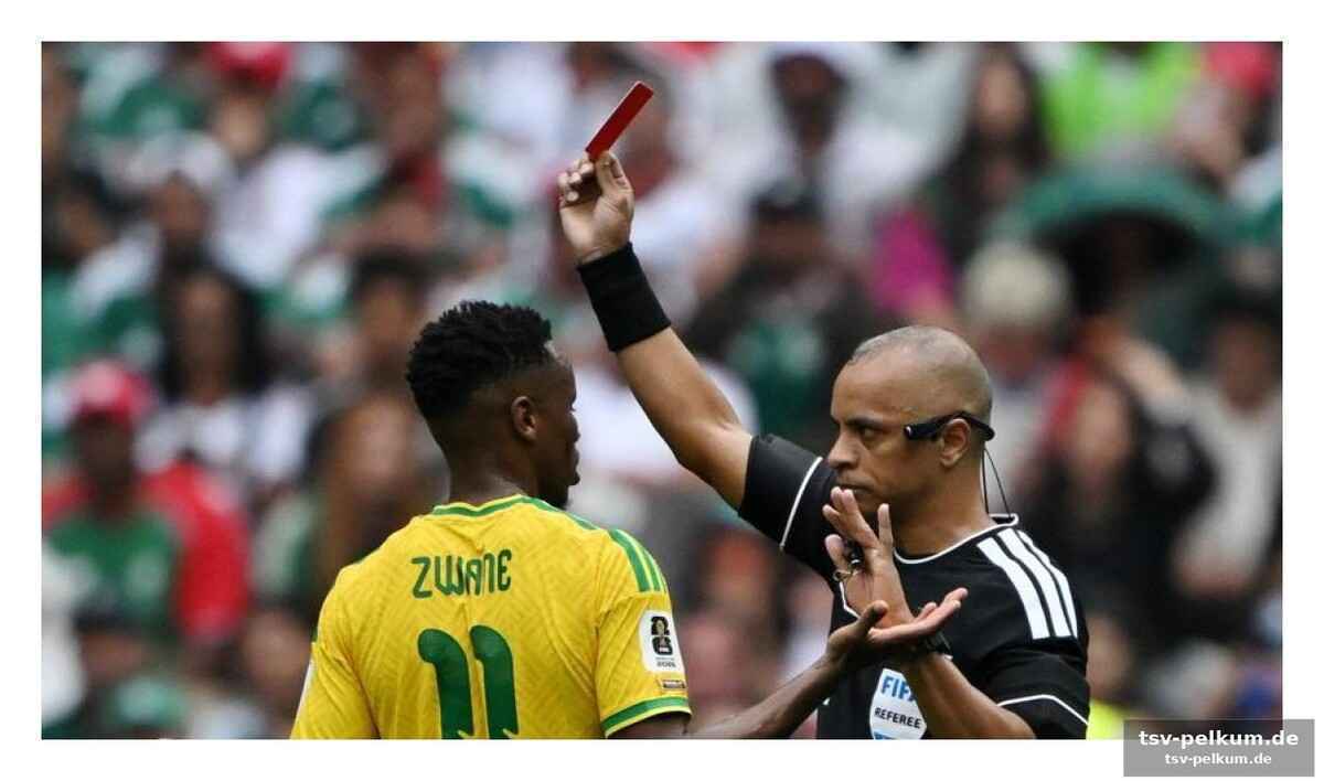 Die ref-cam und das technik-chaos