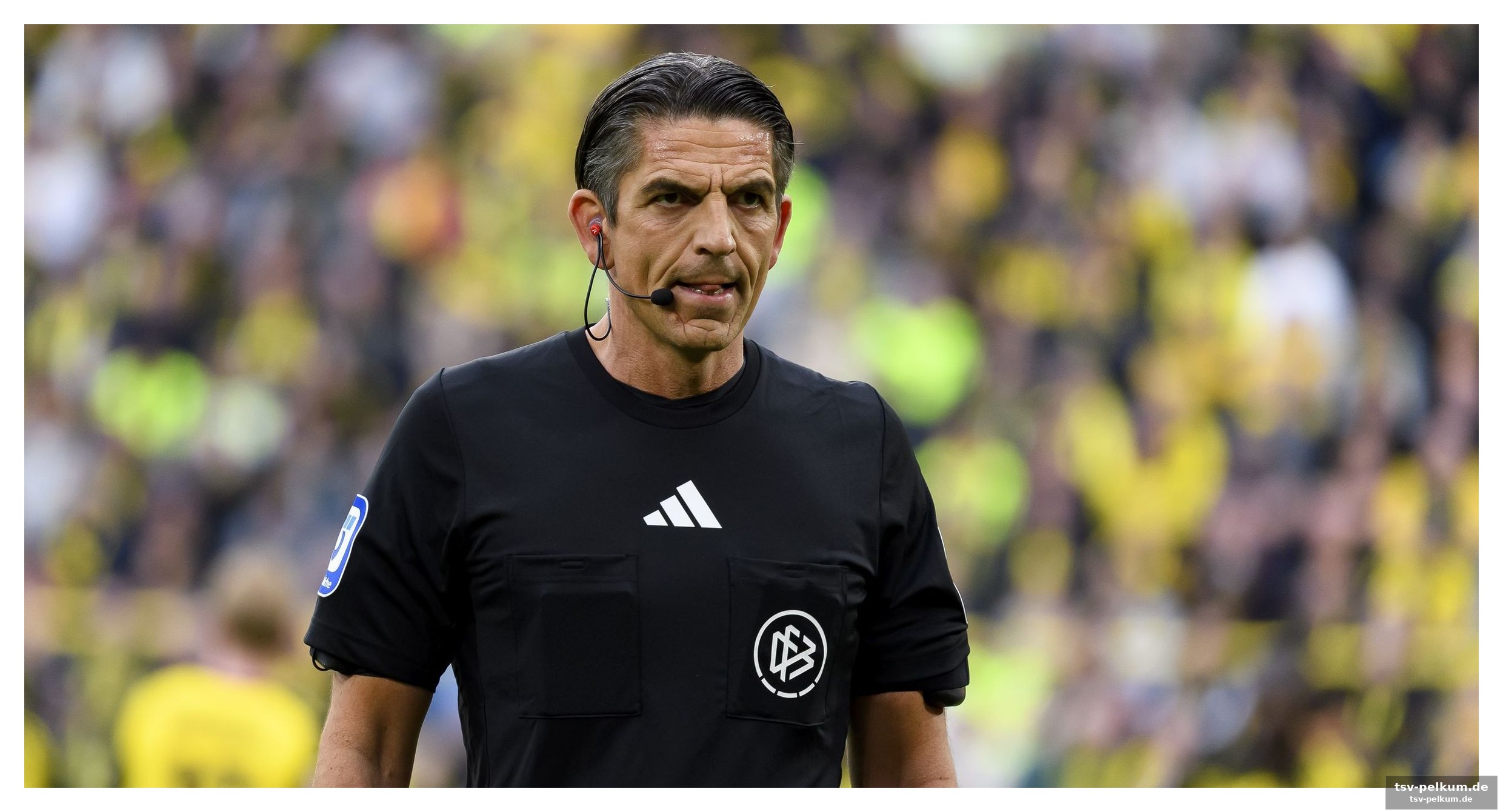 Aytekin leitet bayern-spiel: krönender abschluss?