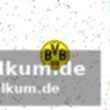 Raspadori fehlt für beide spiele