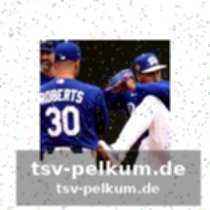 Vertragsdetails und freie agentur