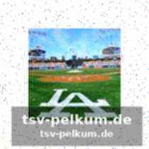 Edmans rolle im team und die herausforderungen