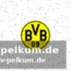 Die chance für luca reggiani