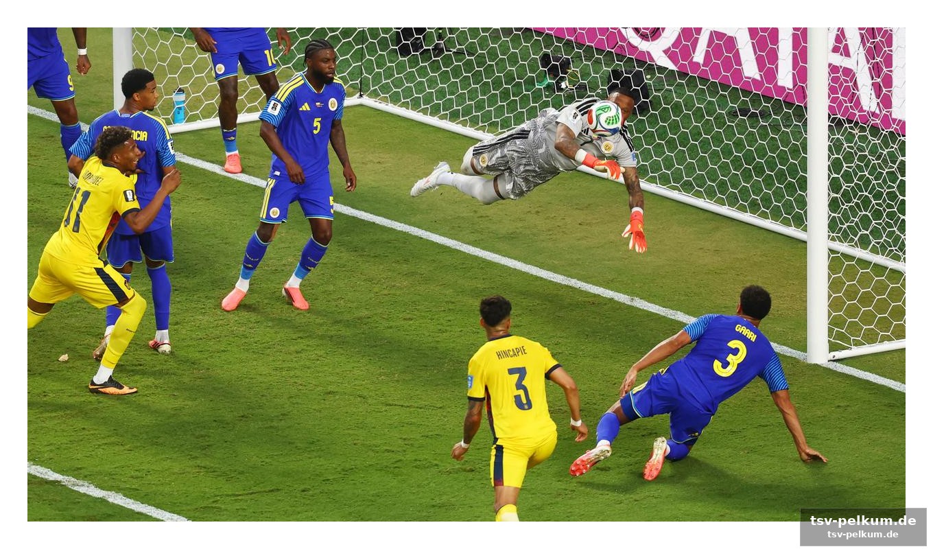 Nächster gegner: ecuador – der weg ins achtelfinale