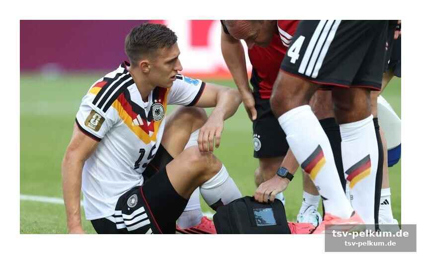 Orakel noah tippt erneut richtig