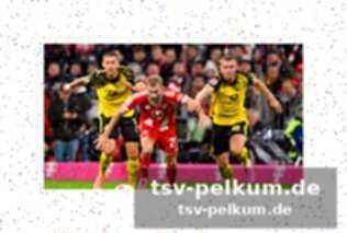 Was papadopoulos wirklich über schlotterbecks zukunft sagt