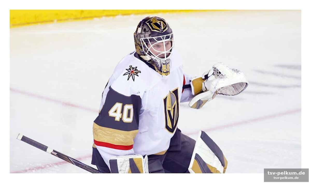 Sabres eiskalt gegen die canadiens