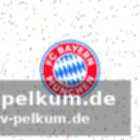 Bereits zweite absage für werder bremen