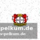 Borggräfe als rettende lösung