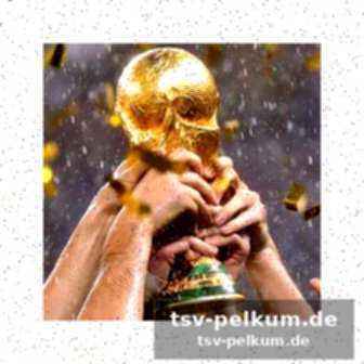 Ausblick auf die wm