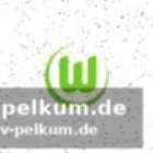 Weitere ausfälle beim vfl wolfsburg