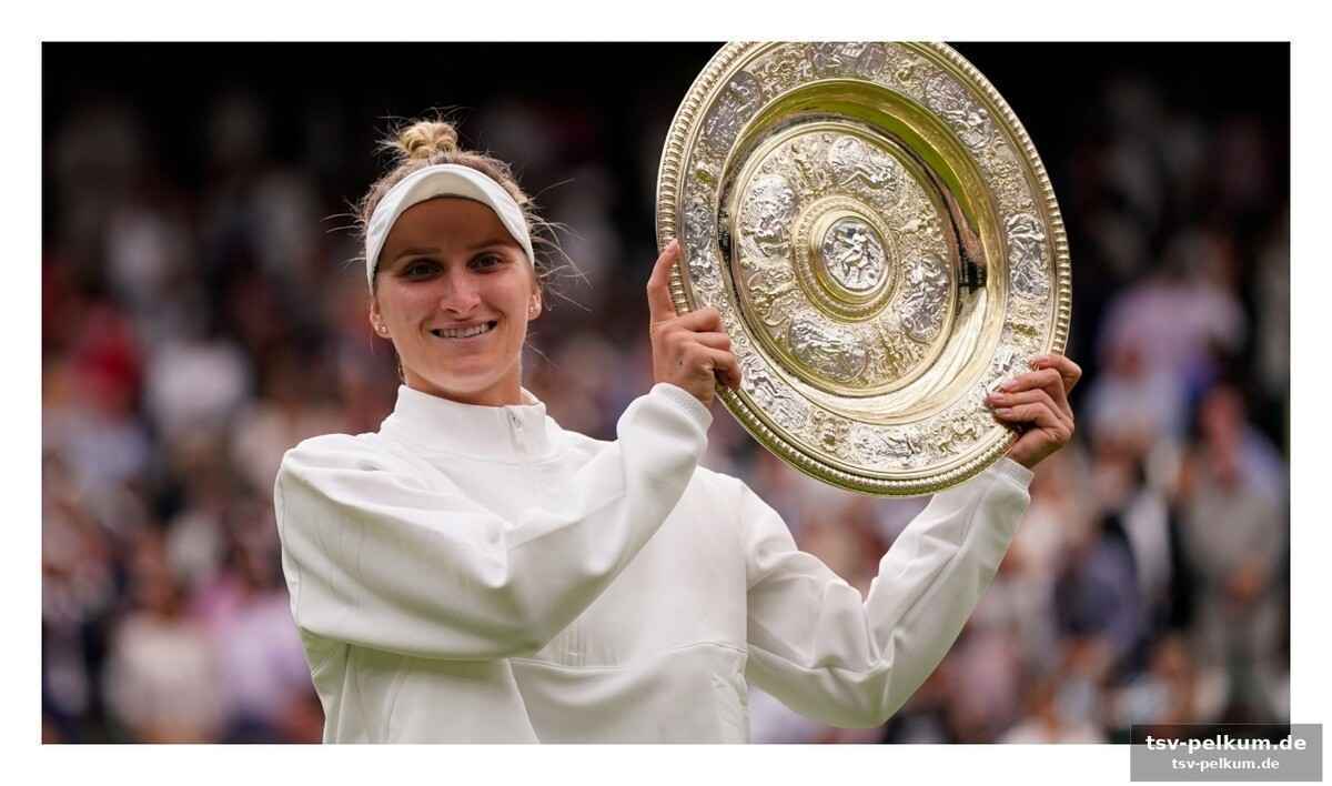 Vondrousovas aktuelle situation: ein schatten der vergangenheit