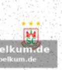 Handball-bundesliga: aktuelle lage