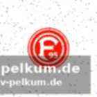 Schmidts verletzungshistorie