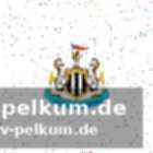 Verlust des tyne-wear-derbys?