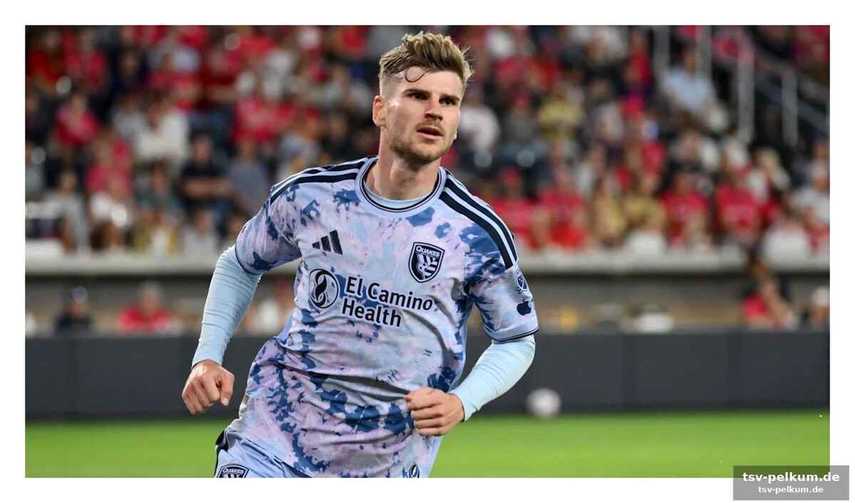 Werner-formkurve abrupt gestoppt?