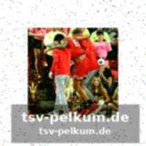 Toppins starke leistungen in dieser saison