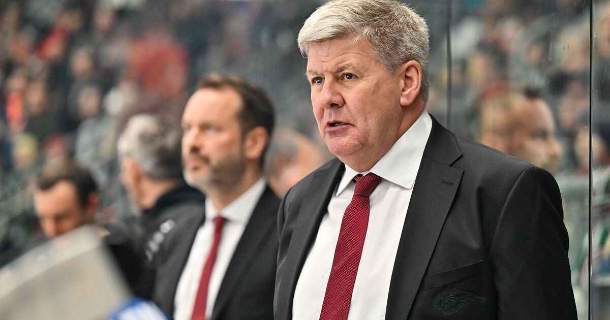 Schock in augsburg: panther-trainer peters kämpft gegen seltene krankheit