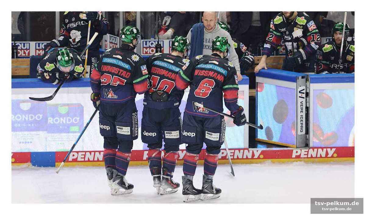 Bergmanns bilanz und bedeutung für die eisbären
