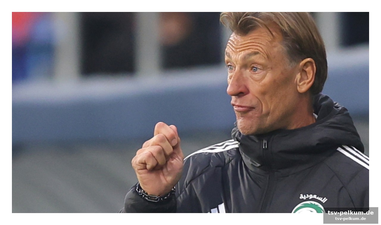 Der erfahrene taktiker hervé renard springt ein