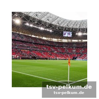 Die wm-vorbereitungen laufen auf hochtouren
