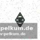 Junge talente für die zukunft