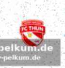 Der kanton bern im team der runde