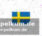 Der weg zur europameisterschaft: qualifikation im fokus
