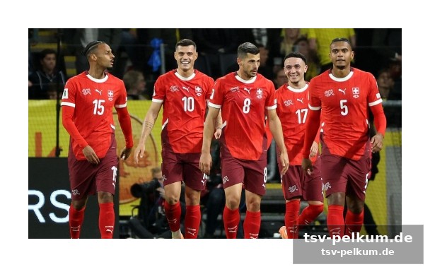 Die voraussichtliche aufstellung: so könnte die schweiz in kanada spielen