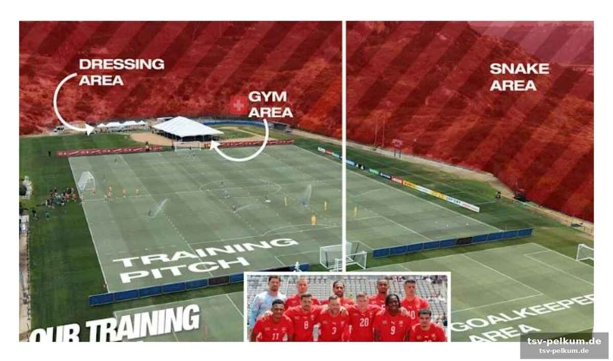 Die schlange im trainingslager: mehr als nur ein ärgernis