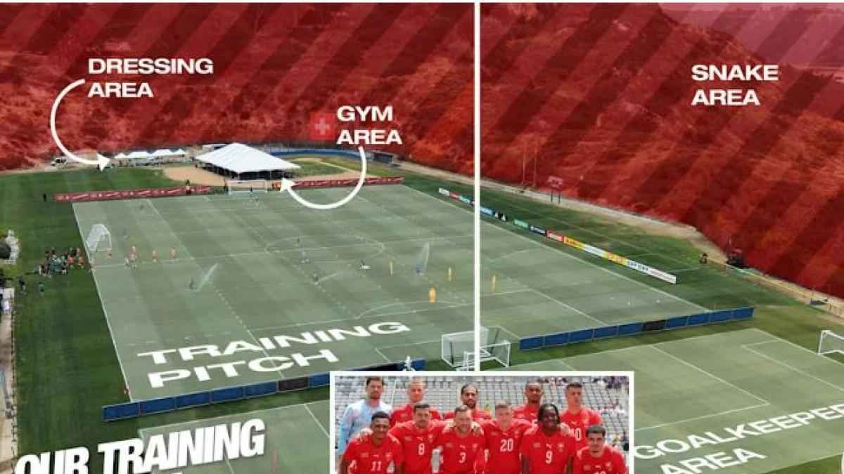 Schweizer nati im zangengeparden-revier: trainingseinheit zur nervensache!