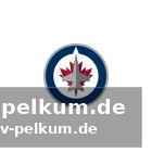 Ein blick in die zukunft: wer wird die serie gewinnen?